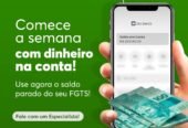 Consultora financeira especialista em Crédito