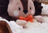 Naninha