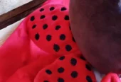 Naninha